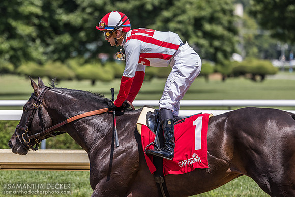 Unmatched Wisdom wins the Curlin S.