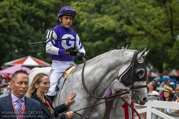 Arthur's Ride, winner of the Whitney