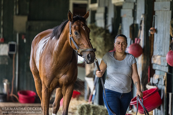 Spirit and Glory, Robert Falcone barn