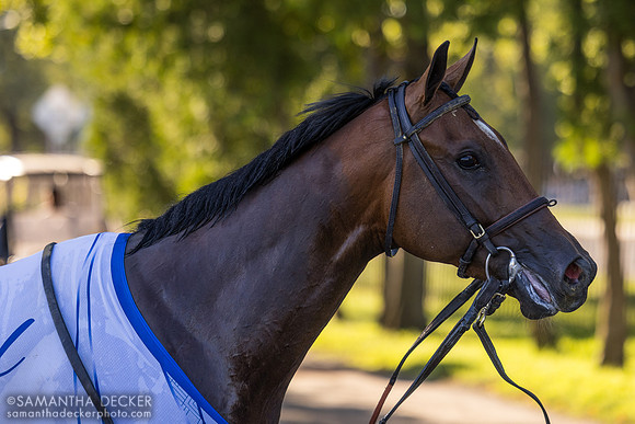 Chancer McPatrick heading to the test barn