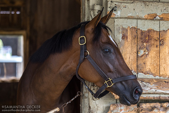 Just Heart, Bruce Brown barn