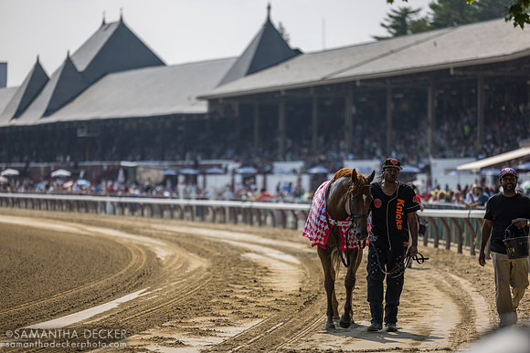 Nakatomi, winner of the Alfred G. Vanderbilt H.