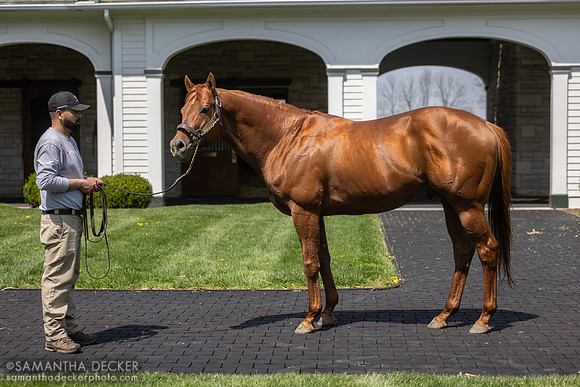 Vekoma, Spendthrift Farm