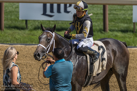 Showcase wins the Saratoga Special S.
