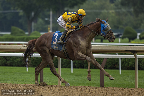 Bank Frenzy wins the Evan Shipman H.