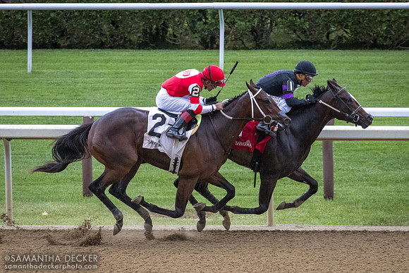Whatintheliteral wins the Astoria Stakes