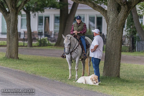 D. Wayne Lukas chats with Kenny McPeek from his pony, as Kenny's dog Sonny sits nearby