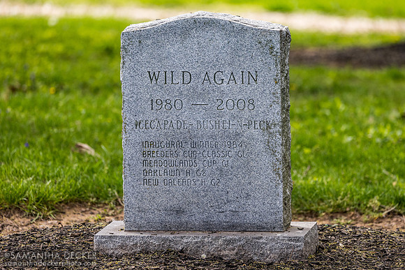 Wild Again's grave, Three Chimneys Farm, Midway, KY