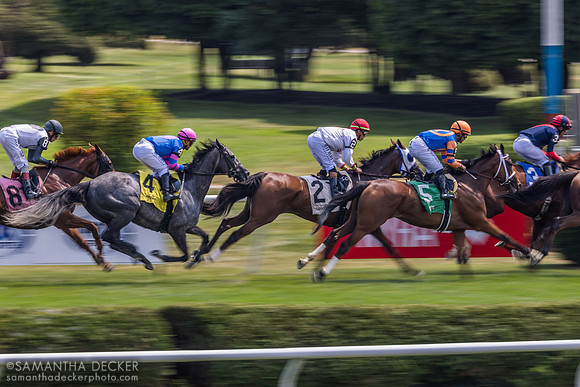 Scenic Panning