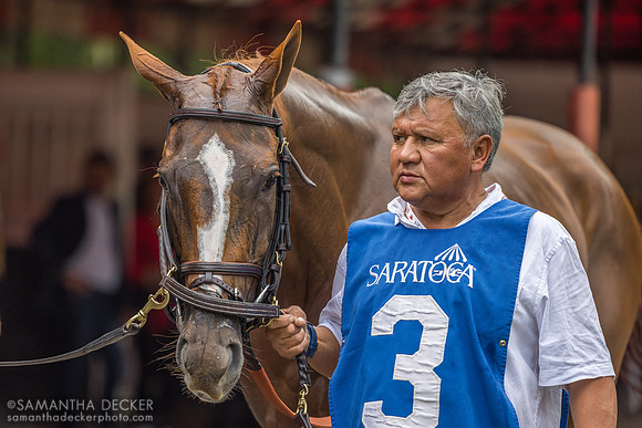 Raging Sea, winner of the Personal Ensign