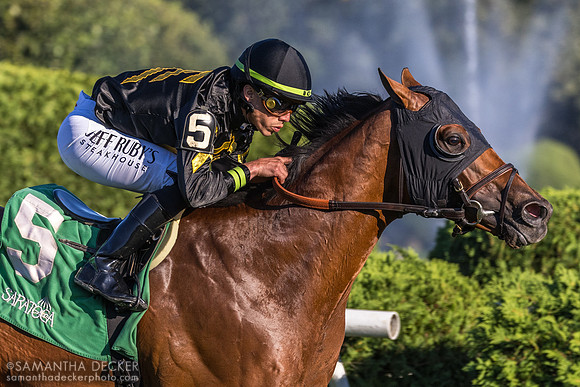 Running Bee wins the Bernard Baruch