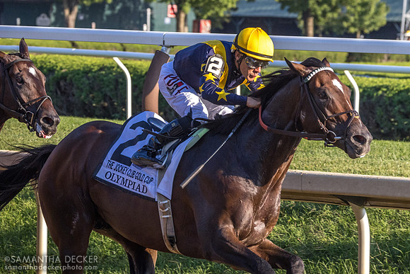 Olympiad wins the Grade I Jockey Club Gold Cup