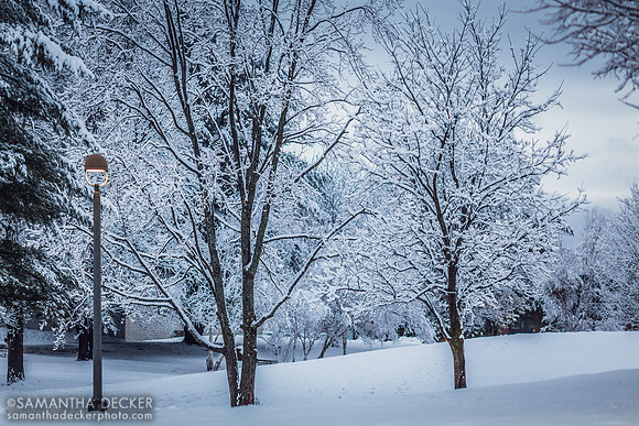 Snowy Skidmore College Campus