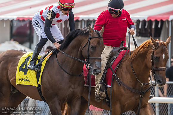 Souper Quest, winner of R7