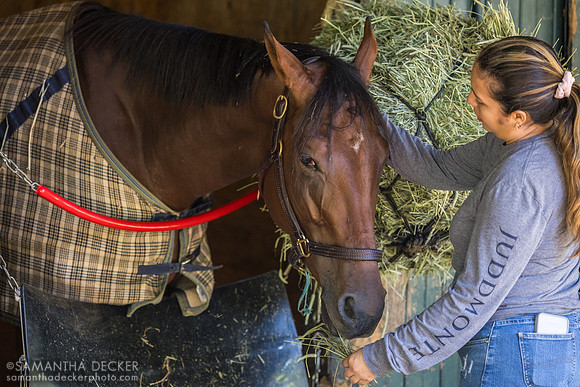Lorena Perdomo with Deep Satin - DeVaux barn