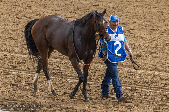 Gin Gin wins the 2025 Grade III Doubledogdare Stakes at Keeneland