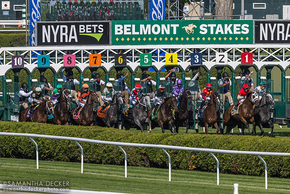 Spinning Colors wins the Mount Vernon