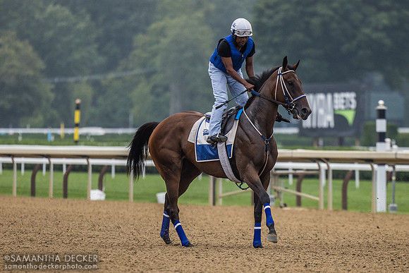 Danny Ramsey on Thorpedo Anna