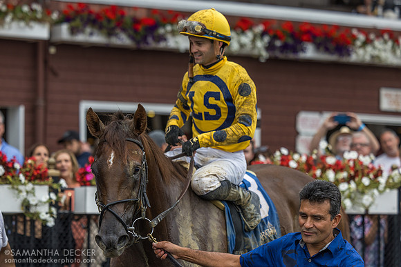 Bank Frenzy wins the Evan Shipman H.