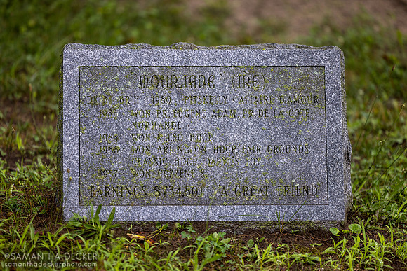 Mourjane grave - if you ever have a need for this