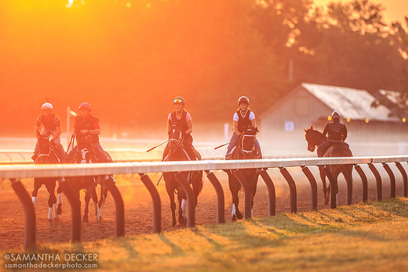 Oklahoma Training Track, Saratoga Springs, 2014