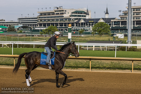 Steve Asmussen trainee, Churchill Downs, 2025
