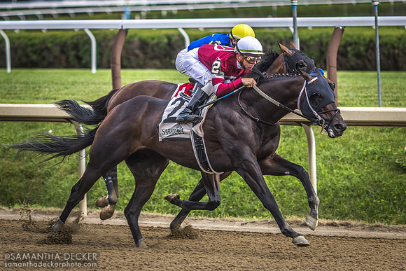 Gunite wins the Grade II Amsterdam Stakes