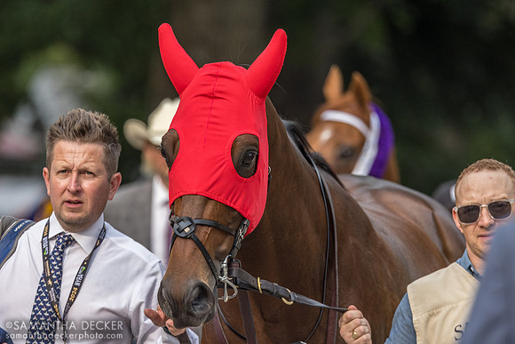 Silver Knott, winner of the Bowling Green S.