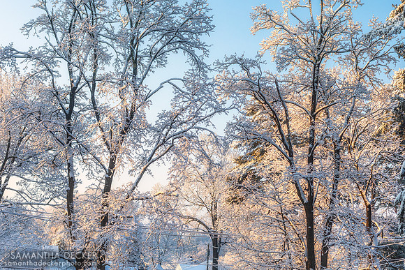Snow in Saratoga, 2022
