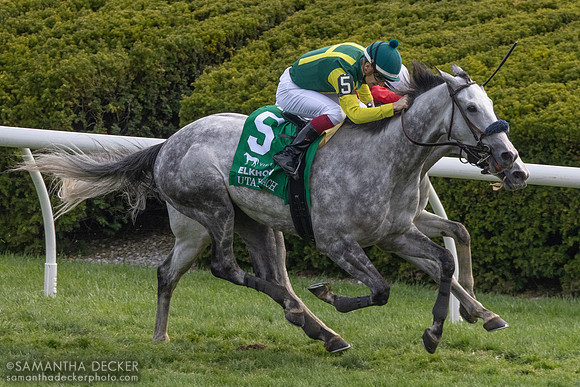 Utah Beach wins the 2025 Grade II Elkhorn Stakes at Keeneland