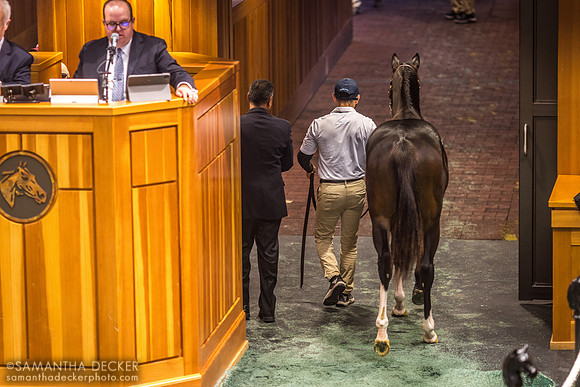 Fasig-Tipton