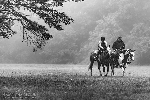 Seize the Grey walking at the Oklahoma Track, 2024