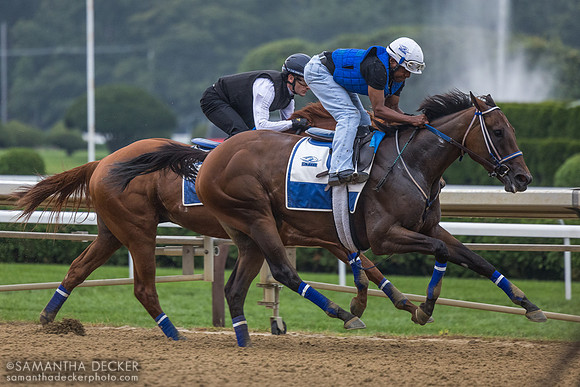 Danny Ramsey on Thorpedo Anna, breezing in company with Elko County