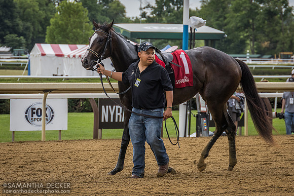 Whatintheliteral wins the Astoria Stakes