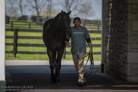 Kingsbarns, Spendthrift Farm