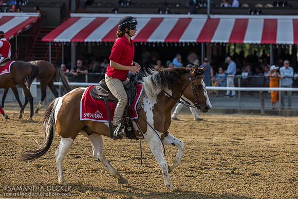 Pony rider Amanda Villafranco on Sunny