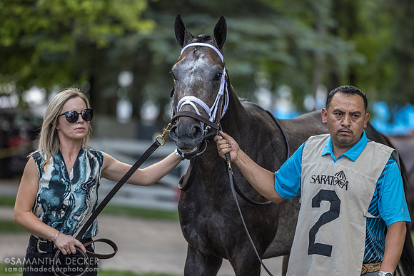 Showcase, winner of the Saratoga Special S.