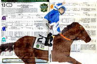 Equine:  At the Track