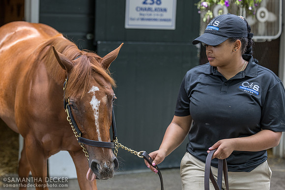Amy Molina with a Practical Joke colt o/o In My Mind