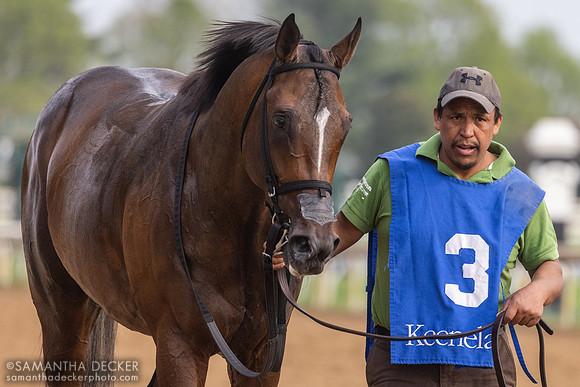 Tennessee Lamb wins the 2025 Grade III Ben Ali Stakes at Keeneland
