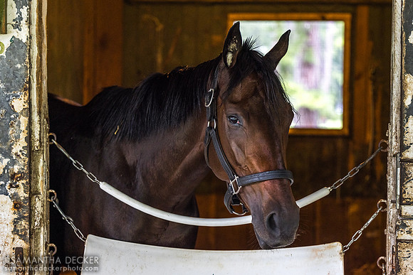 Be Your Best, De Paz Barn