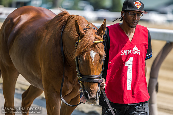 Nakatomi, winner of the Alfred G. Vanderbilt H.