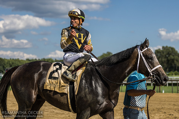 Showcase wins the Saratoga Special S.