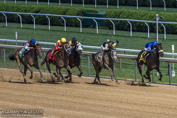 Showcase wins the Saratoga Special S.