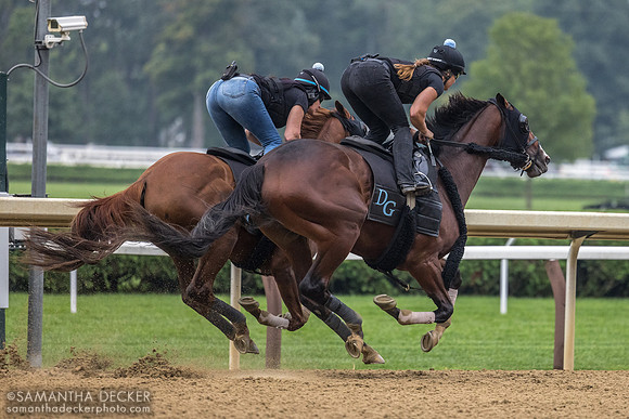 Dornoch breezing in company (not sure the other horse's name)