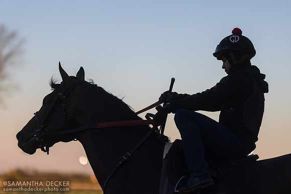 Cherie DeVaux trainee at Keeneland, 2023