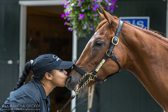 Amy Molina kisses a Practical Joke colt o/o In My Mind