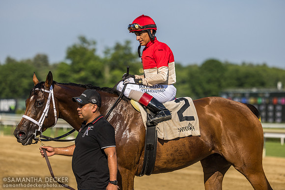 Spinning Colors wins the Mount Vernon