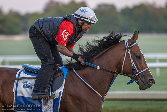 Mystik Dan