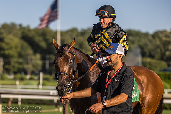 Running Bee wins the Bernard Baruch